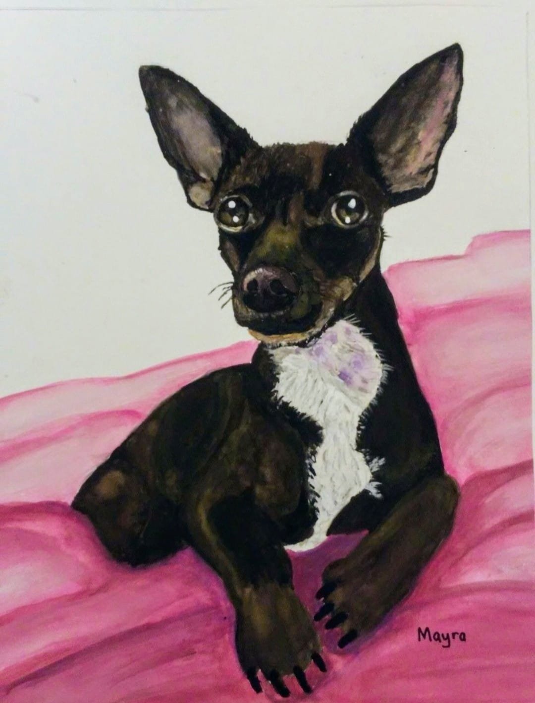 Retrato en acuarela de un perro negro sobre una manta rosa