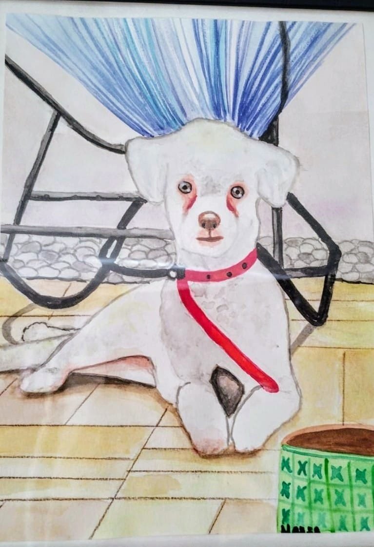Retrato en acuarela de un perro blanco esperando en casa