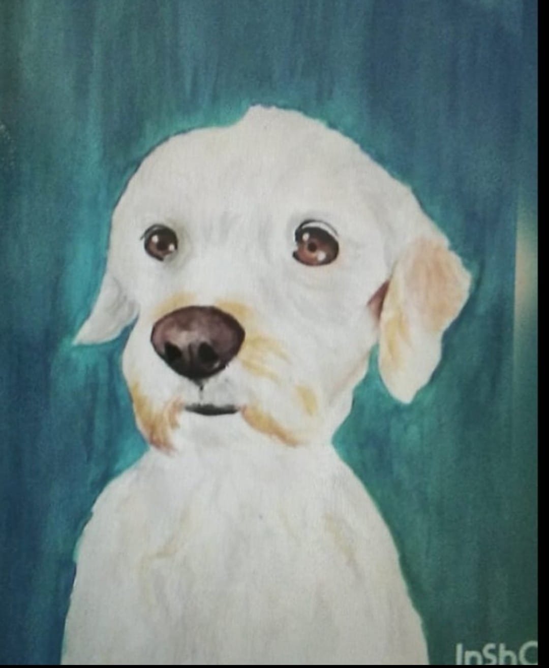 Retrato en acuarela de un perro blanco sobre fondo turquesa