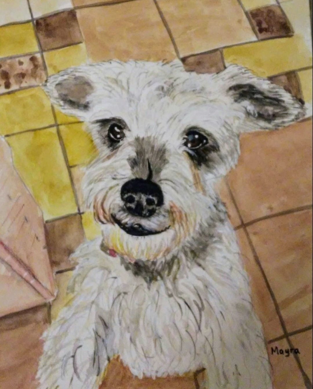 Retrato en acuarela de un perro gris mirando hacia arriba